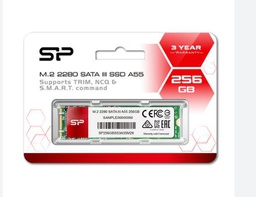 [117063] SP M.2 2280 SATAIII SSD A55 256GB
