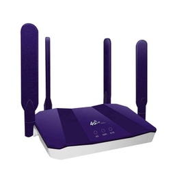 [129295] 4G Sim Router R8B(B818)