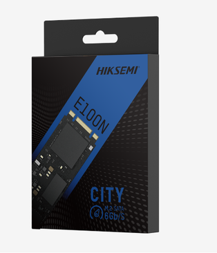 HIKSEMI HS-SSD-E100N SSD M.2 256 GB